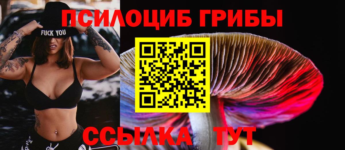 Псилоцибиновые грибы Magic Shrooms Волгоград